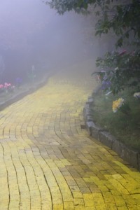 ________image