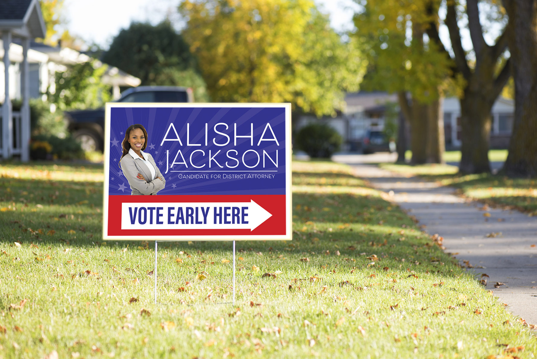 election campaign yard signs