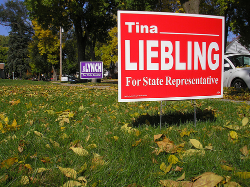 Political Yard Signs